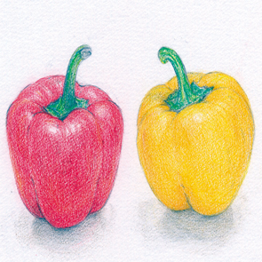 3ステップで描く色鉛筆画のイメージ