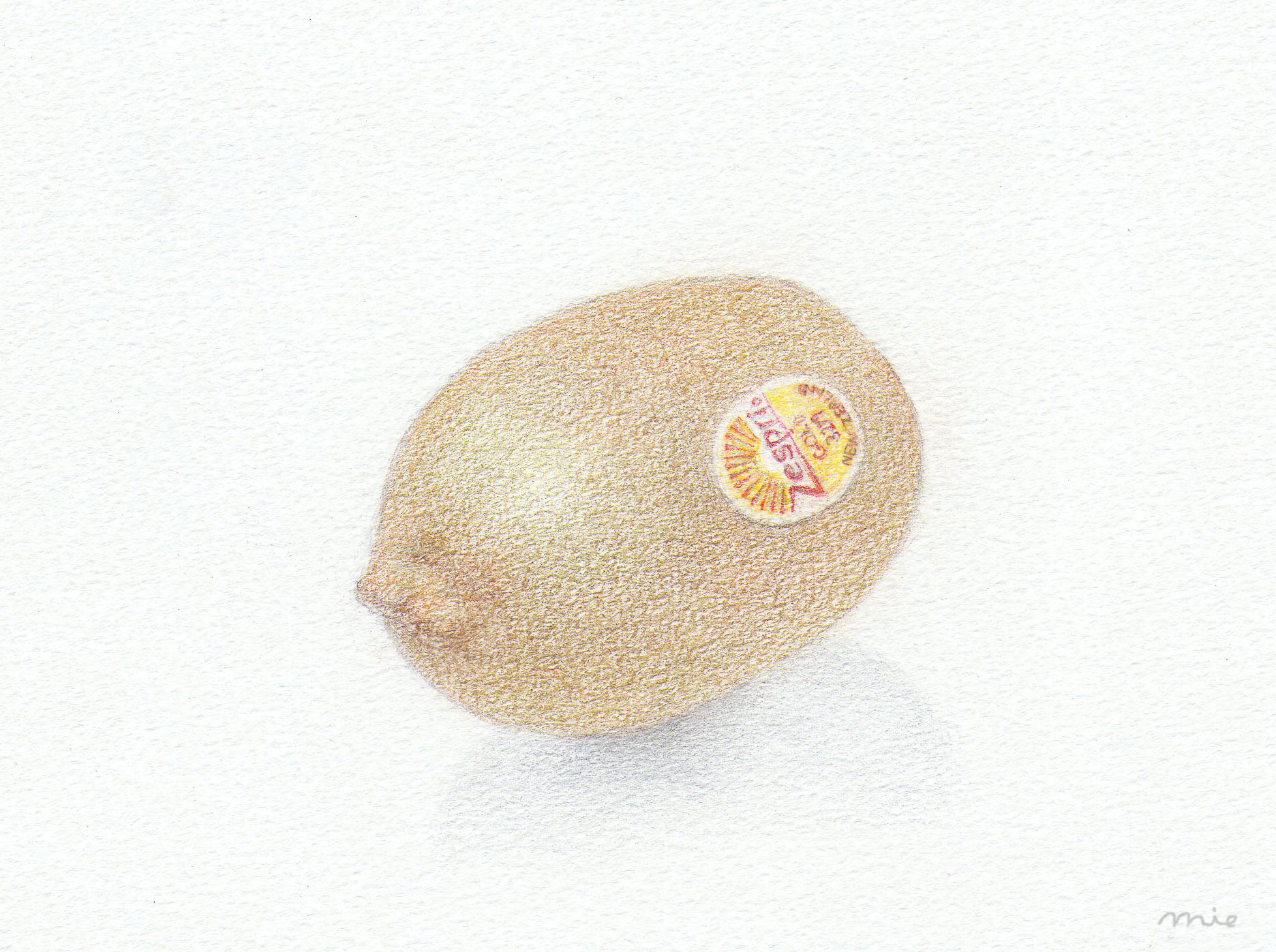 3ステップで描く色鉛筆画のイメージ