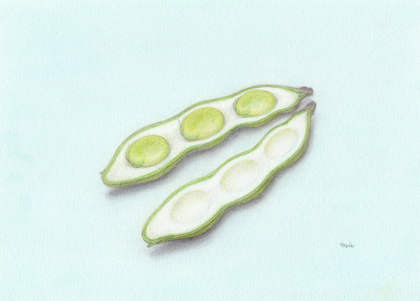 3ステップで描く色鉛筆画のイメージ