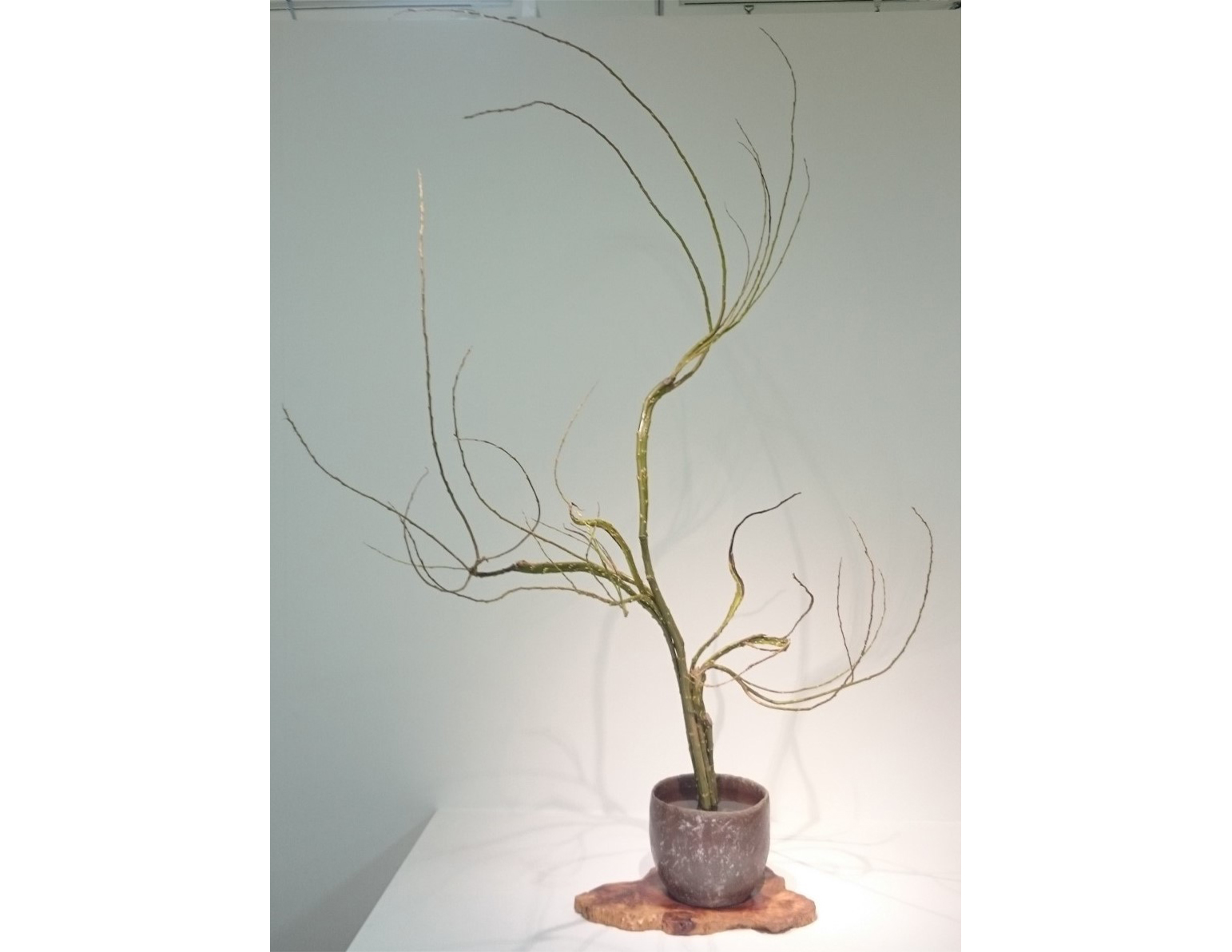古流(現代花・生花)のイメージ
