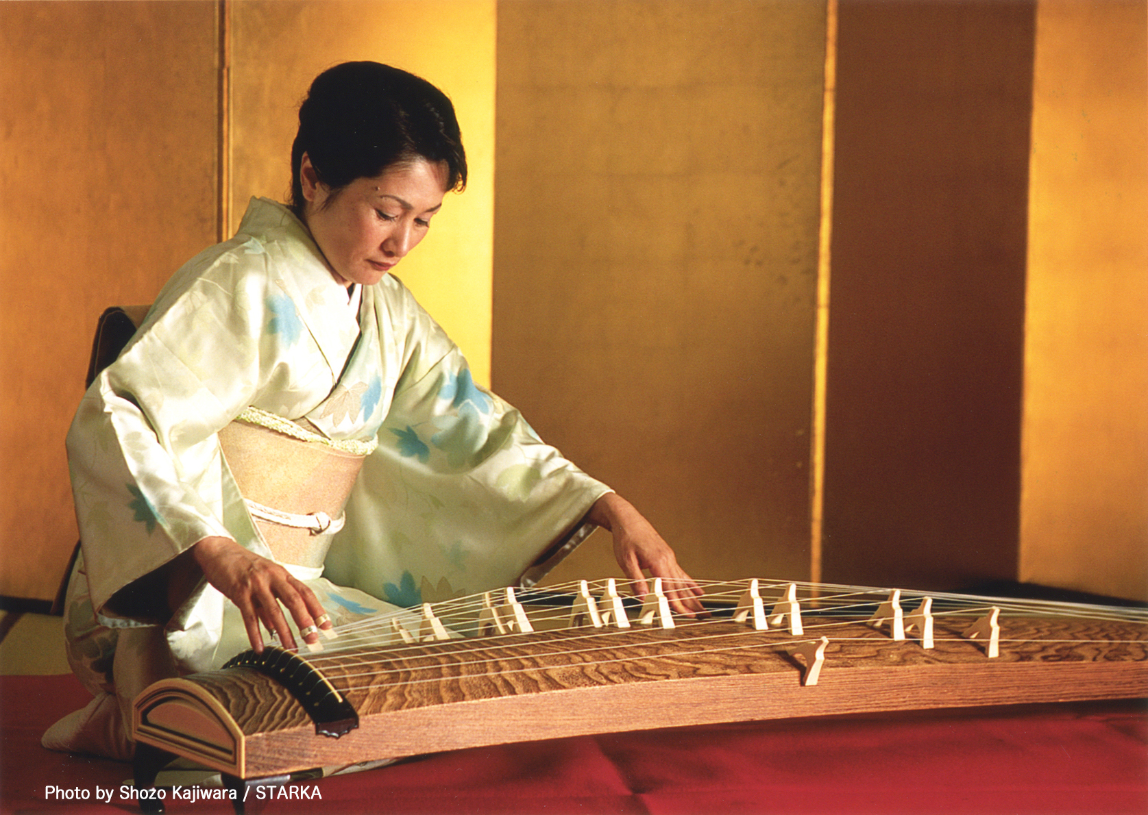 生田流 お箏のイメージ