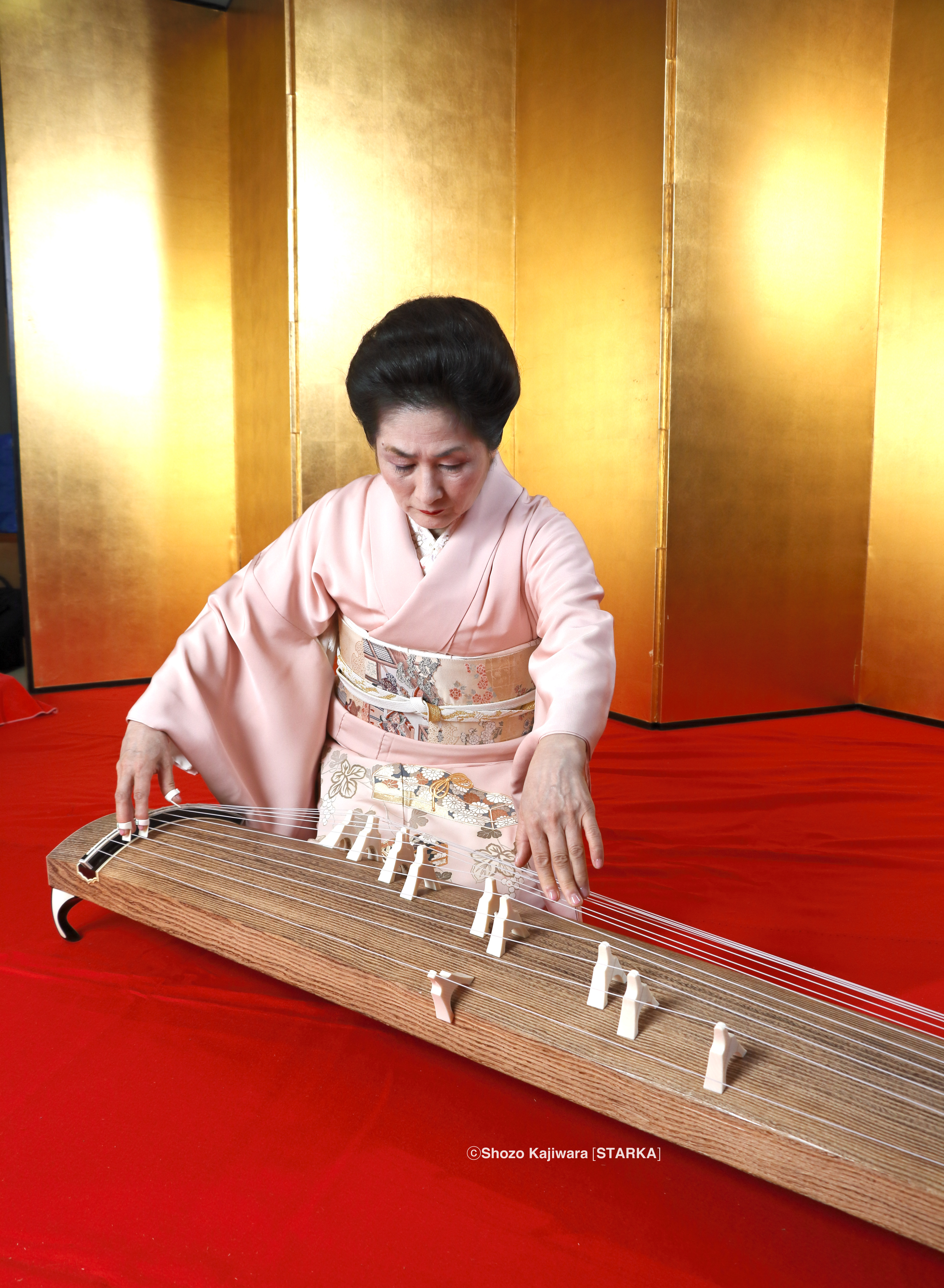 生田流 お箏のイメージ