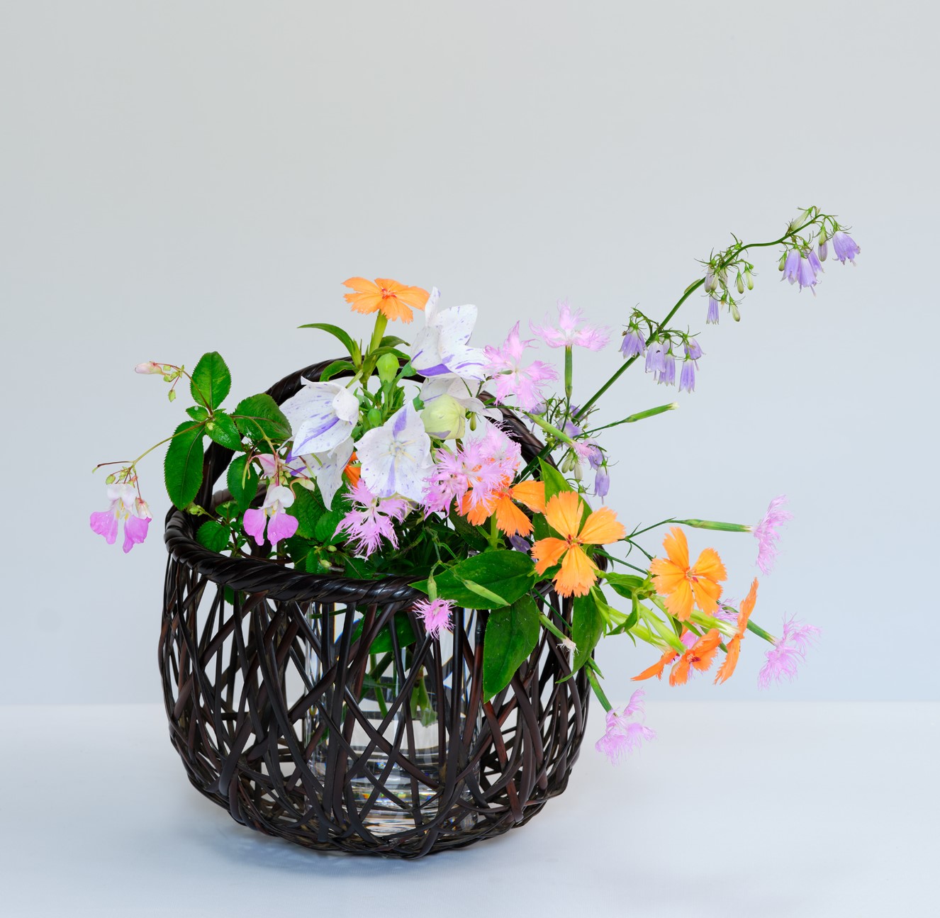 和の花あしらい～山野草を楽しむ～のイメージ