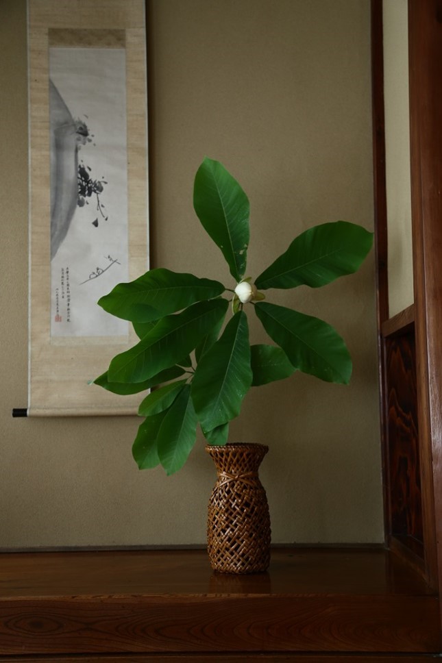 和の花あしらい~山野草を楽しむ~のイメージ